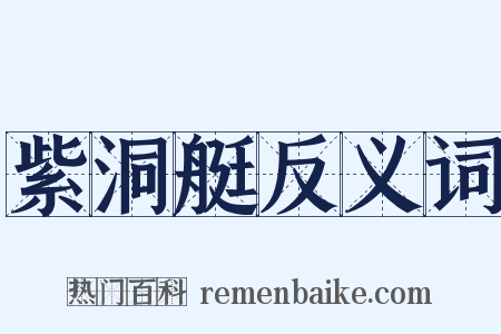 紫洞艇反义词是什么意思的图片